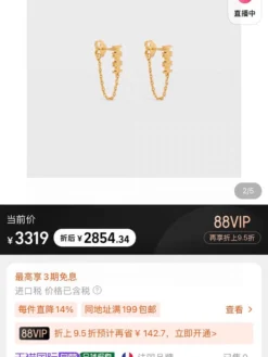 Alternative view of CELINE Earrings D020260228003849