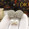 DIOR Earrings E120260228009449