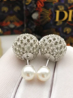 DIOR Earrings E120260228009449