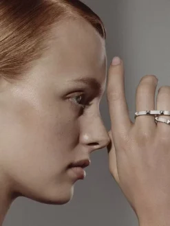 Alternative view of HERMES Rings F020260228008249