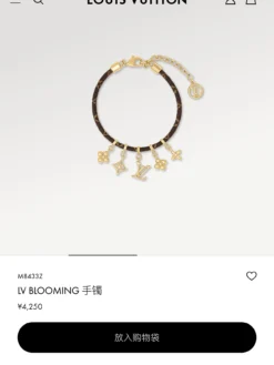 LV Bracelets E020260228015249