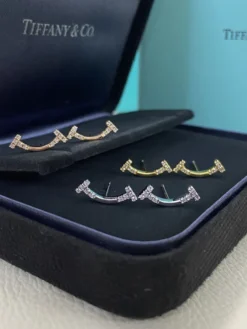 TIFFANY Earrings E020260228011449