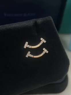Alternative view of TIFFANY Earrings E020260228011449