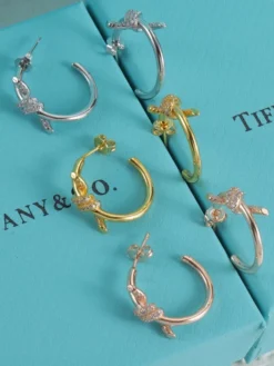 Uncategorized Earrings F020260228011749