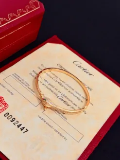 Alternative view of CARTIER Bracelets A3520260401064969