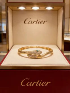 CARTIER Bracelets A3520260401065469
