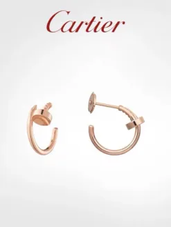 CARTIER Earrings D020260401047549