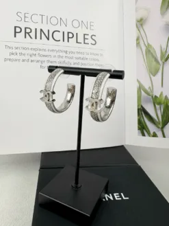 CHANEL Earrings F520260401068349