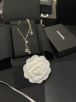 CHANEL Necklaces E520260401054349
