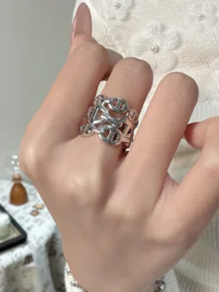 Alternative view of HERMES Rings F020260401011149