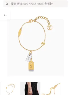 Alternative view of LV Bracelets E020260401010249