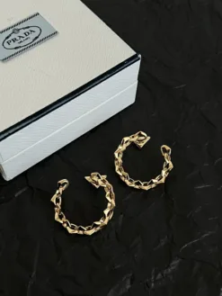PRD Earrings H520260401042559