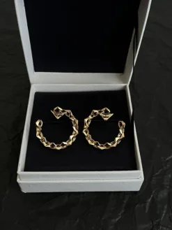 Alternative view of PRD Earrings H520260401042559
