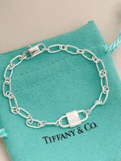 TIFFANY Bracelets F020260401010449
