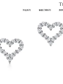 TIFFANY Earrings A6020260401052679