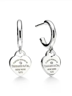 TIFFANY Earrings C520260401052749