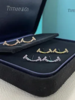 TIFFANY Earrings E020260401062649