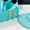 TIFFANY Earrings E520260401054949