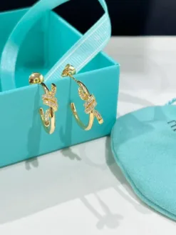 TIFFANY Earrings E520260401054949