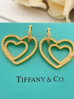 TIFFANY Earrings E820260401014649
