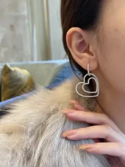 Alternative view of TIFFANY Earrings E820260401014649