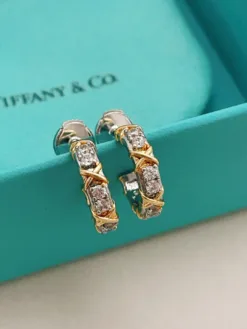 TIFFANY Earrings F020260401010549
