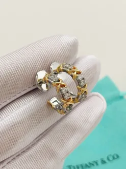Alternative view of TIFFANY Earrings F020260401010549