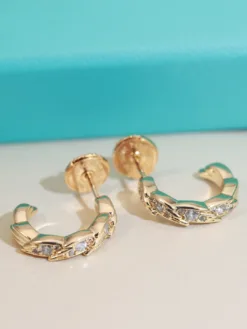 TIFFANY Earrings F020260401030549