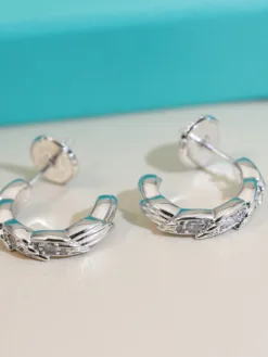 Alternative view of TIFFANY Earrings F020260401030549