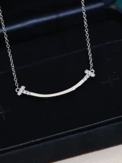 TIFFANY Necklaces E520260401030349