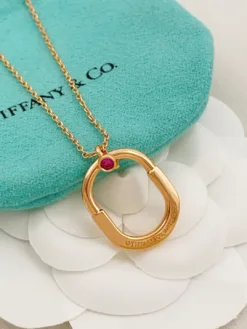 TIFFANY Necklaces F320260401010349