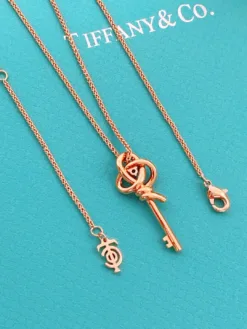 TIFFANY Necklaces F520260401012549