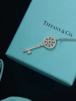TIFFANY Necklaces G520260401030459