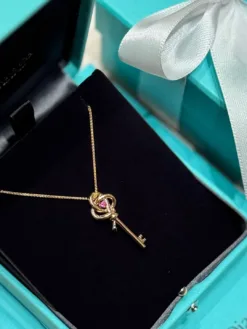 TIFFANY Necklaces G520260401030759