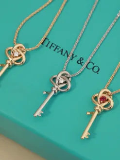 TIFFANY Necklaces G520260401030859