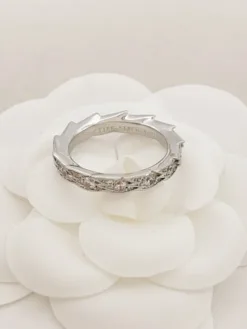 Alternative view of TIFFANY Rings F020260401010649