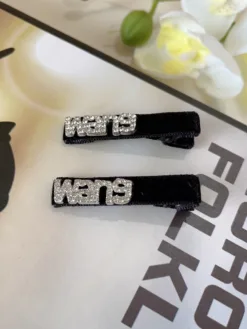 ALEXANDER WANG Hair Accessories D520260503655749