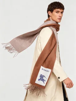 BURBERRY Scarves A3020260504317669
