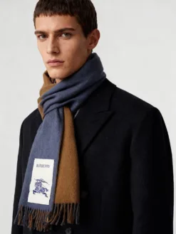 BURBERRY Scarves A3020260504934969