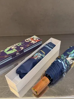 BURBERRY Umbrellas E020260503000949