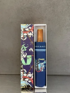 Alternative view of BURBERRY Umbrellas E020260503000949