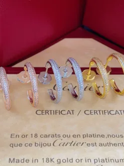 Alternative view of CARTIER Earrings E020260504038649