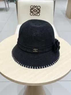 CELINE Hats & Caps G520260503677659