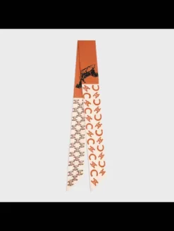 CELINE Scarves E020260504530849