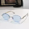 CHROME HEARTS Glasses & Sunglasses A5520260504130279