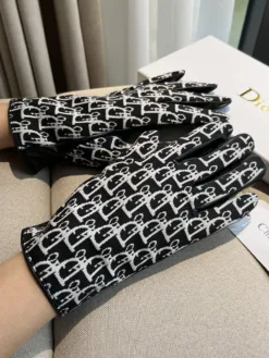DIOR Gloves A2520260503001769