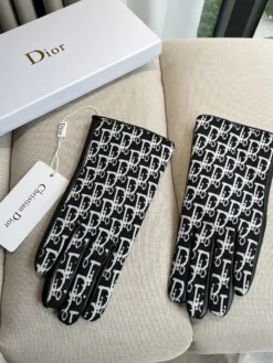 Alternative view of DIOR Gloves A4520260503001679