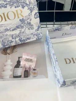 DIOR Hair Accessories D520260503117249