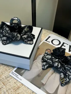 DIOR Hair Accessories E020260503175849