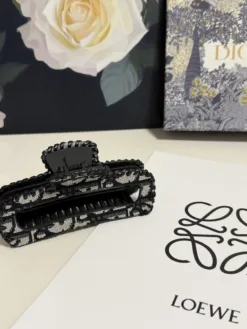 DIOR Hair Accessories E020260503304949